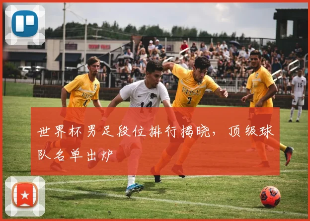 世界杯男足段位排行揭晓,顶级球队名单出炉