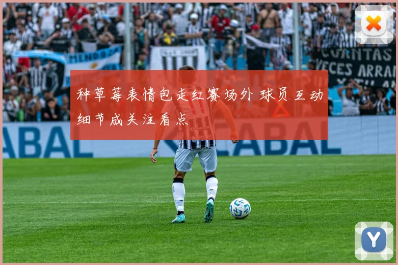 种草莓表情包走红赛场外 球员互动细节成关注看点